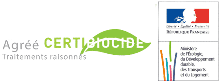 Professionnel certifié Certibiocide destruction nid frelon asiatique guêpes Lille Métropole agrément officiel