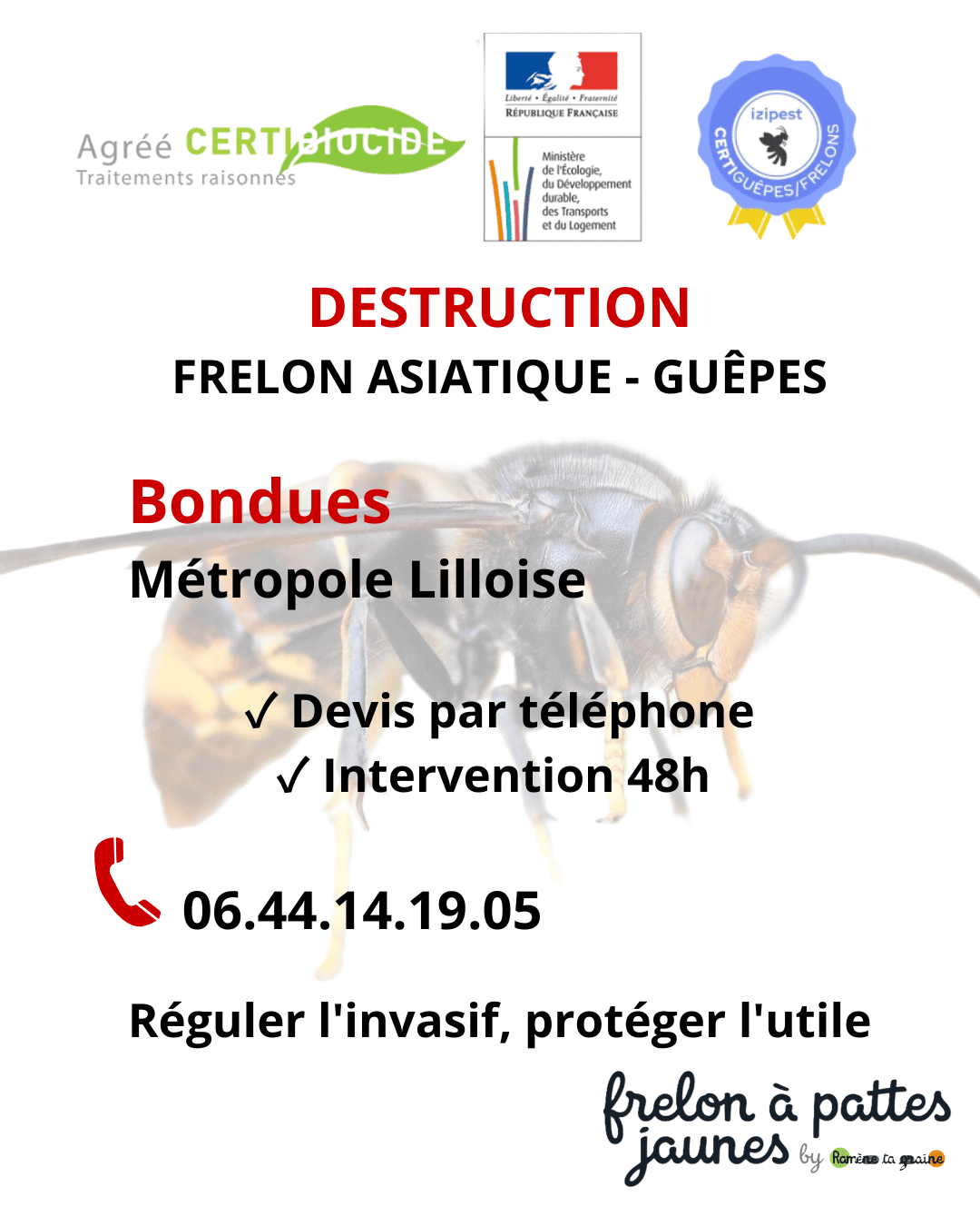 Extirpation nid frelon asiatique guêpes Bondues expert hyménoptères dangereux intervention certifiée