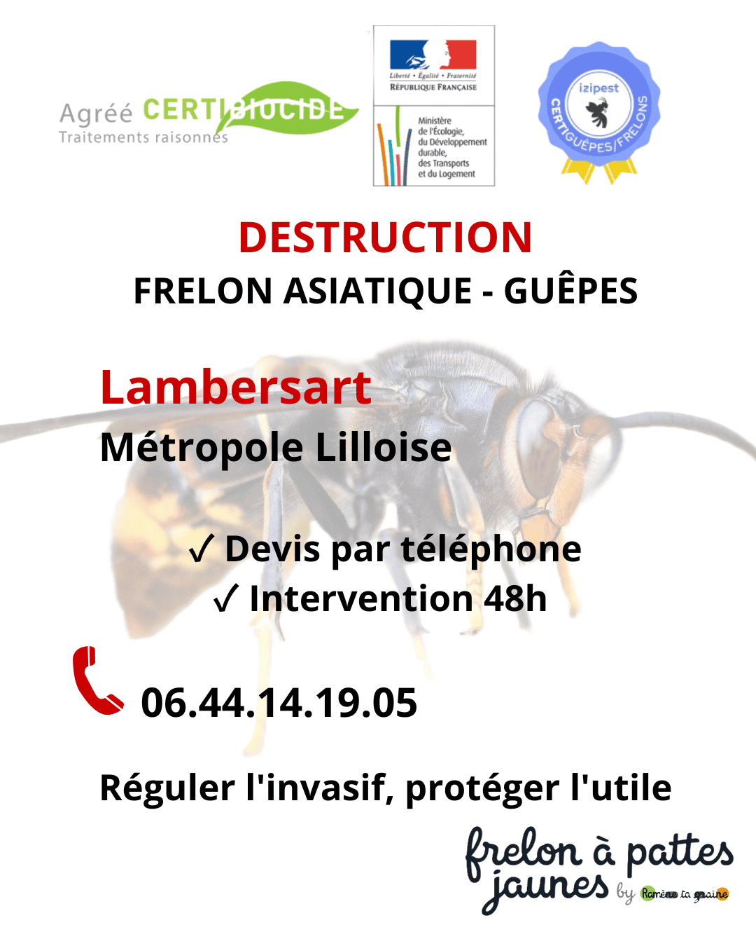 Traitement frelon asiatique Lambersart professionnel hyménoptères invasifs destruction certifiée biodiversité protection