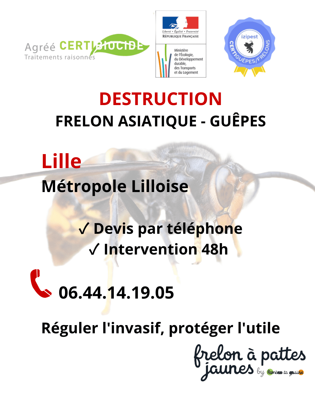 Destruction nid frelon asiatique Lille intervention professionnelle certifiée Certibiocide espèce invasive urgence