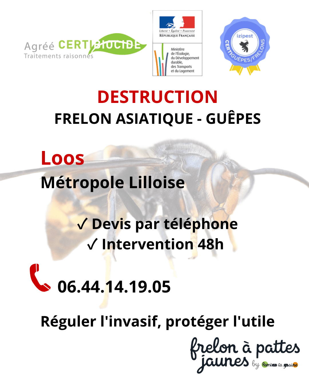 Neutralisation frelon asiatique guêpes Loos technicien agréé hyménoptères nuisibles destruction professionnelle