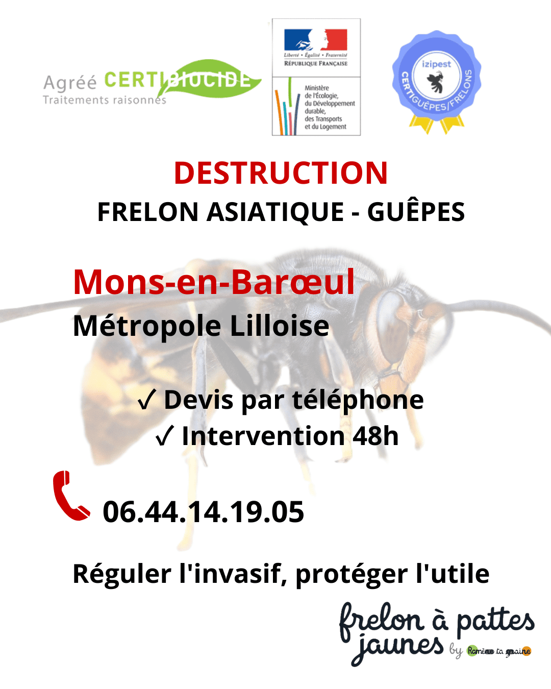 Désinsectisation frelon asiatique Mons Barœul agrément biocide espèce invasive réglementée