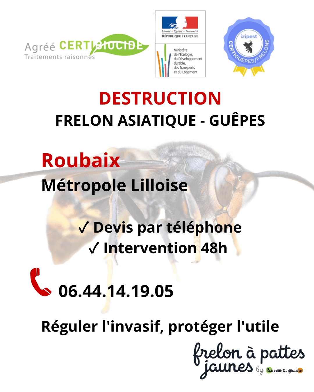 Contrôle frelon asiatique Roubaix professionnel certifié menace pollinisateurs destruction systématique obligatoire