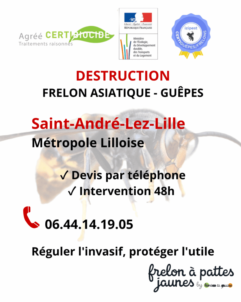Radiquer frelon asiatique guêpes Saint André expert biocide nid sphérique destruction