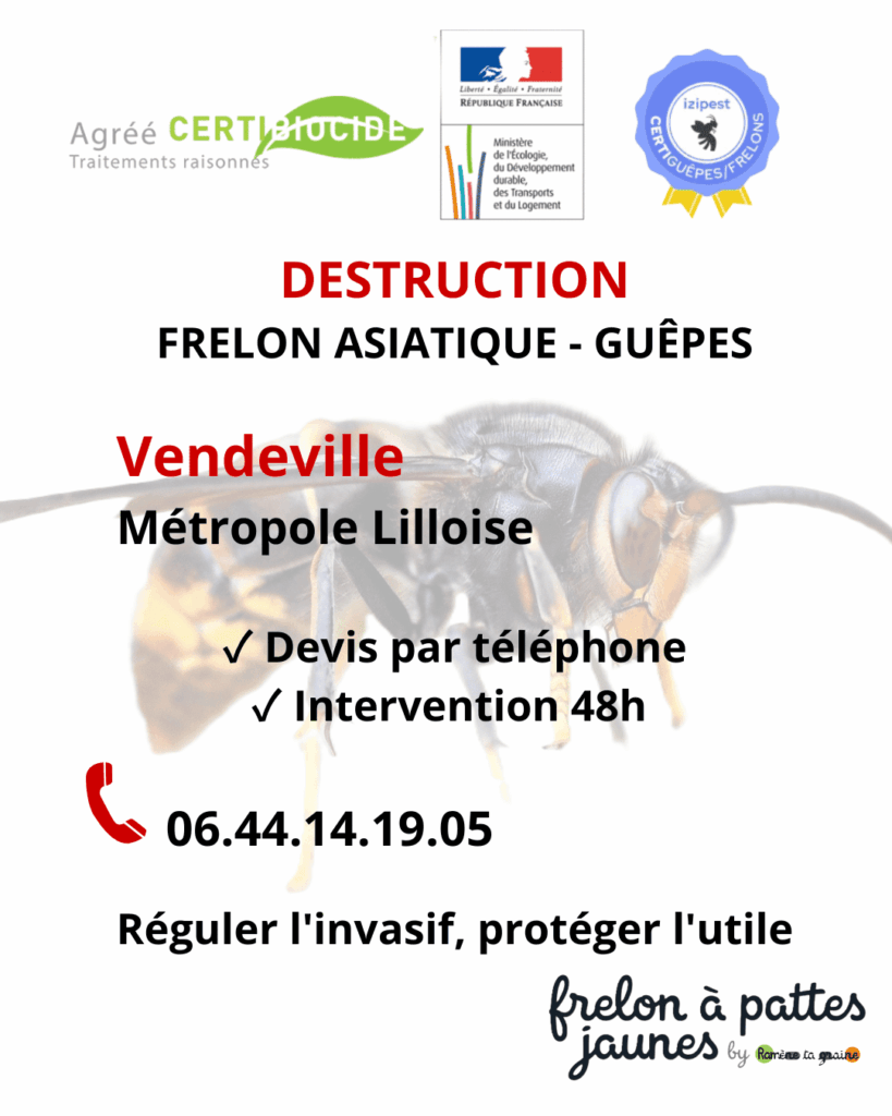Traitement frelon asiatique guêpes Vendeville expert biocide hyménoptères dangereux destruction nid professionnelle