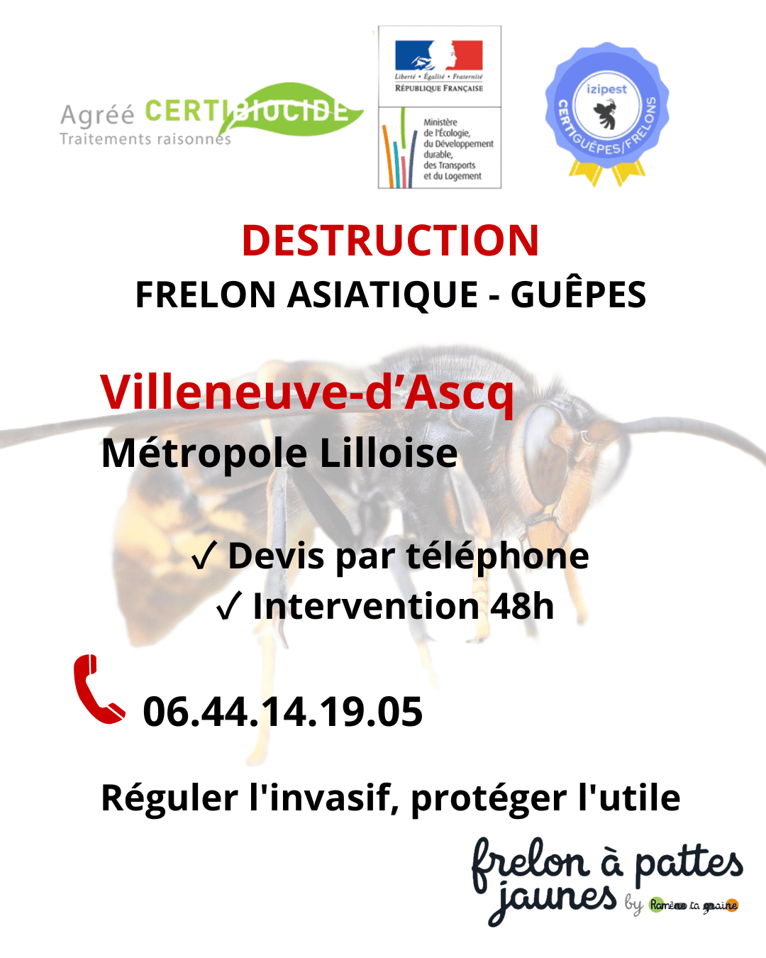 Eradiquer frelon asiatique guêpes Villeneuve Ascq spécialiste Vespa velutina colonies envahissantes destruction